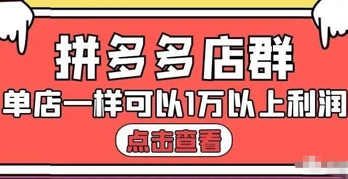 拼多多店群单店一样可以产出1万5以上利润【付费文章】-领航创业网