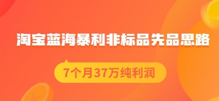 盗坤淘宝蓝海暴利非标品先品思路，7个月37万纯利润，压箱干货分享！【付费文章】-领航创业网