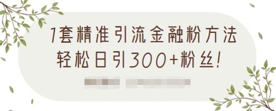 1套精准引流金融粉方法，轻松日引300 粉丝【视频课程】-领航创业网