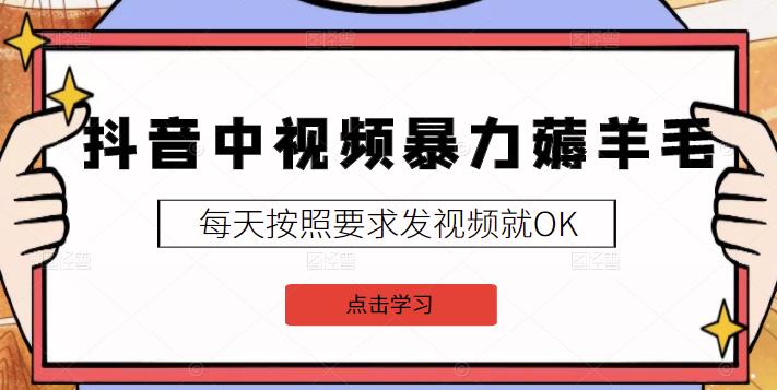 2022抖音中视频暴力薅羊毛白嫖项目：新号每天20块，老号几天几百块，可多号-领航创业网