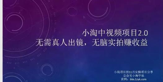 小淘项目组网赚永久会员，绝对是具有实操价值的，适合有项目做需要流程【持续更新】-领航创业网