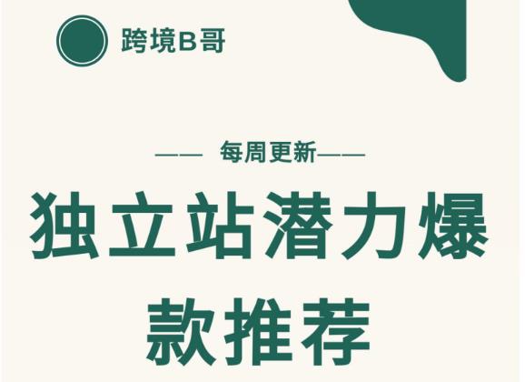 【跨境B哥】独立站潜力爆款选品推荐，测款出单率高达百分之80（每周更新）-领航创业网