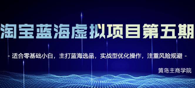 淘宝虚拟无货源3.0 4.0 5.0，适合零基础小白，主打蓝海选品，实战型优化操作-领航创业网