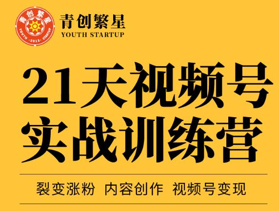 张萌21天视频号实战训练营，裂变涨粉、内容创作、视频号变现 价值298元-领航创业网