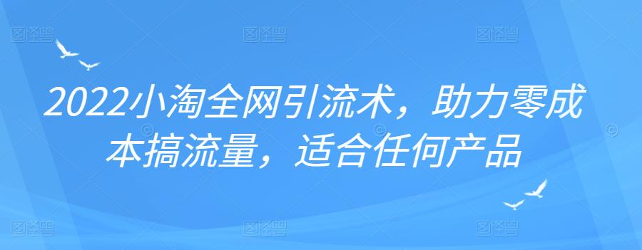 2022年小淘全网引流术，助力零成本搞流量，适合任何产品-领航创业网