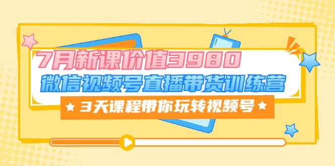 微信视频号直播带货训练营，3天课程带你玩转视频号：7月新课价值3980-领航创业网