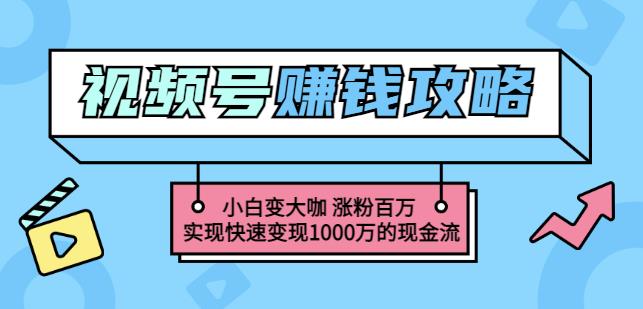 玩转微信视频号赚钱：小白变大咖涨粉百万实现快速变现1000万的现金流-领航创业网