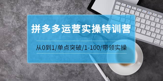 拼多多运营实操特训营：从0到1/单点突破/1-100/带领实操 价值2980元-领航创业网