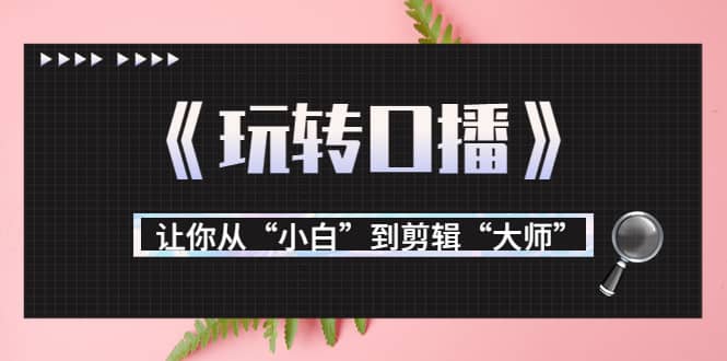 月营业额700万 大佬教您《玩转口播》让你从“小白”到剪辑“大师”-领航创业网