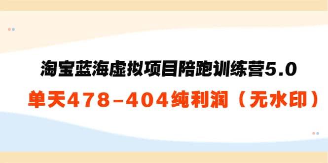 淘宝蓝海虚拟项目陪跑训练营5.0：单天478纯利润（无水印）-领航创业网