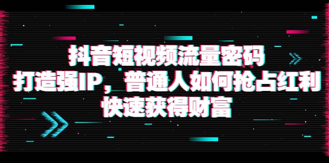 抖音短视频流量密码：打造强IP，普通人如何抢占红利，快速获得财富-领航创业网