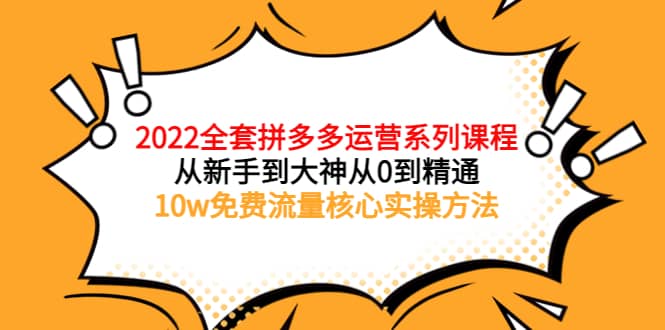 2022全套拼多多运营课程，从新手到大神从0到精通，10w免费流量核心实操方法-领航创业网