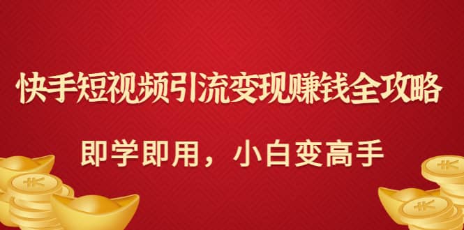 快手短视频引流变现赚钱全攻略：即学即用，小白变高手（价值980元）-领航创业网