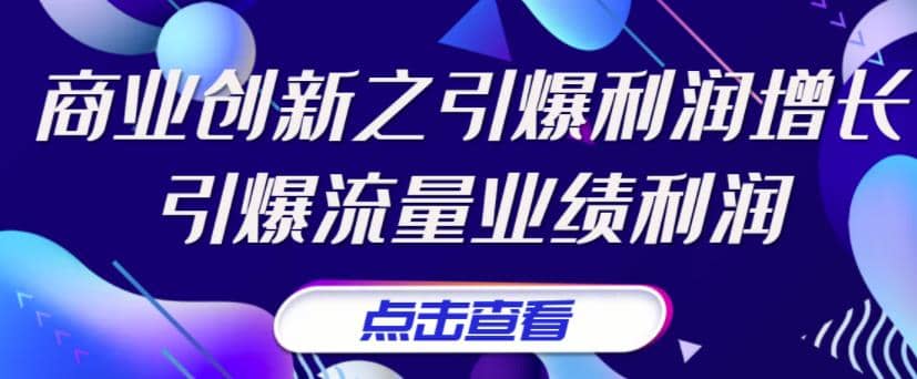 《商业创新之引爆利润增长》引爆流量业绩利润-领航创业网