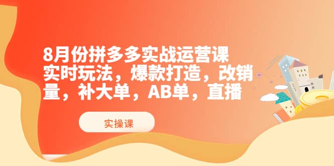 8月份拼多多实战运营课，实时玩法，爆款打造，改销量，补大单，AB单，直播-领航创业网