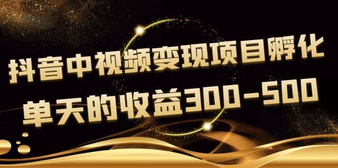 黄岛主《抖音中视频变现项目孵化》单天的收益300-500 操作简单粗暴-领航创业网