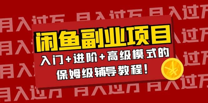 月入过万闲鱼副业项目：入门 进阶 高级模式的保姆级辅导教程-领航创业网