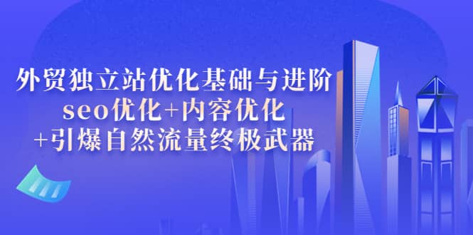 外贸独立站优化基础与进阶，seo优化 内容优化 引爆自然流量终极武器-领航创业网