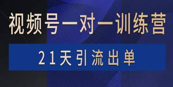 视频号训练营：带货，涨粉，直播，游戏，四大变现新方向，21天引流出单-领航创业网