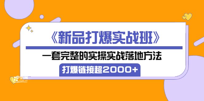 《新品打爆实战班》一套完整的实操实战落地方法，打爆链接超2000 （38节课)-领航创业网