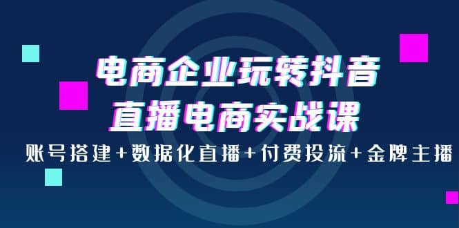 电商企业玩转抖音直播电商实战课：账号搭建 数据化直播 付费投流 金牌主播-领航创业网