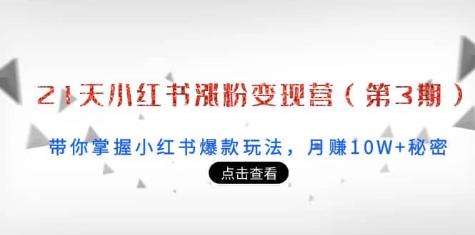 21天小红书涨粉变现营（第3期）：带你掌握小红书爆款玩法，月赚10W 秘密-领航创业网