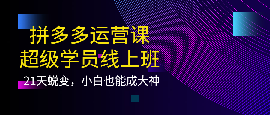 拼多多运营课：超级学员线上班，21天蜕变，小白也能成大神-领航创业网