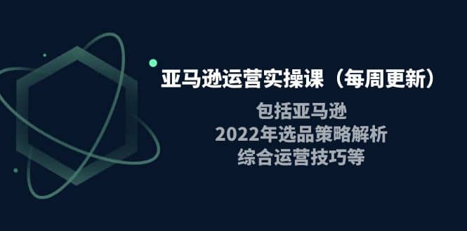 亚马逊运营实操课（每周更新）包括亚马逊2022选品策略解析，综合运营技巧等-领航创业网