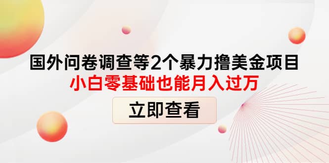 国外问卷调查等2个暴力撸美元项目，小白零基础也能月入过万-领航创业网