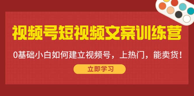 视频号短视频文案训练营：0基础小白如何建立视频号，上热门，能卖货！-领航创业网