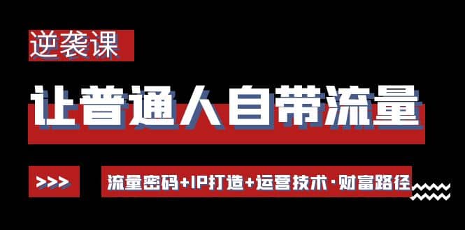 让普通人自带流量的逆袭课：流量密码 IP打造 运营技术·财富路径-领航创业网