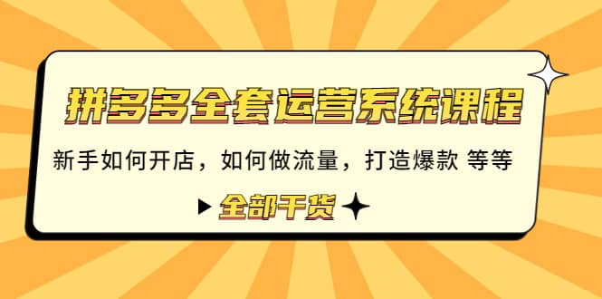 拼多多全套运营系统课程：新手如何开店 如何做流量 打造爆款 等等 全部干货-领航创业网