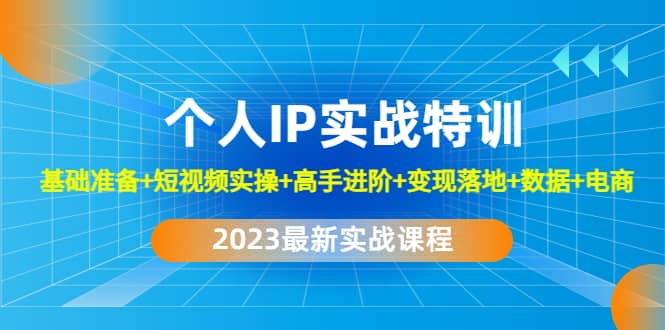 2023个人IP实战特训：基础准备 短视频实操 高手进阶 变现落地 数据 电商-领航创业网