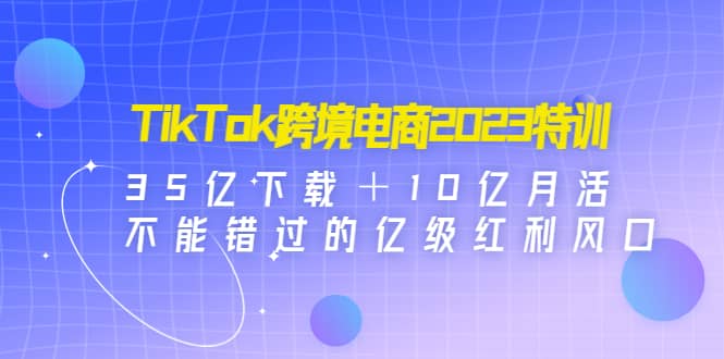 TikTok跨境电商2023特训：35亿下载＋10亿月活，不能错过的亿级红利风口-领航创业网