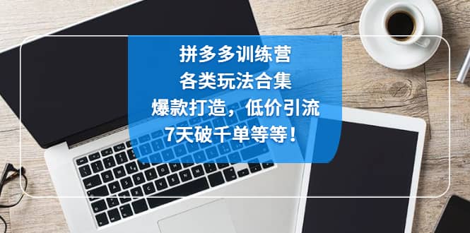 拼多多训练营：各玩法合集，爆款打造，低价引流，7天破千单等等-领航创业网