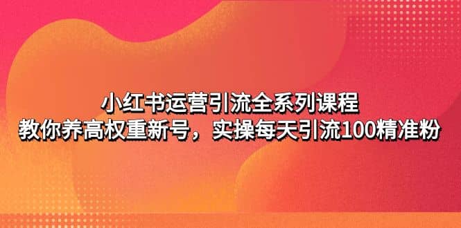 小红书运营引流全系列课程：教你养高权重新号-领航创业网