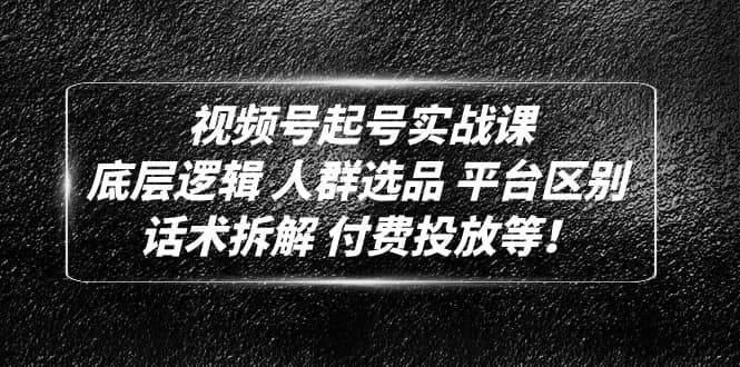 视频号起号实战课：底层逻辑 人群选品 平台区别 话术拆解 付费投放等-领航创业网