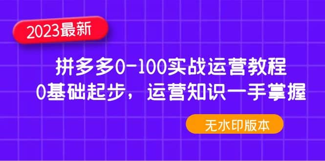 2023拼多多0-100实战运营教程，0基础起步，运营知识一手掌握（无水印）-领航创业网