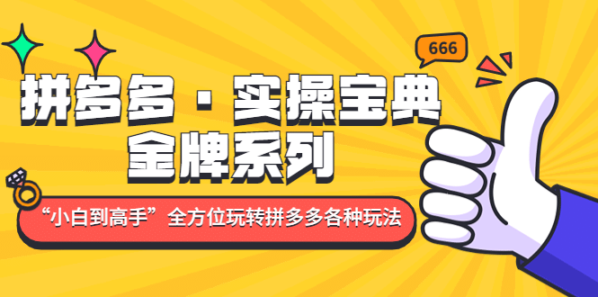 拼多多·实操宝典：金牌系列“小白到高手”带你全方位玩转拼多多各种玩法-领航创业网