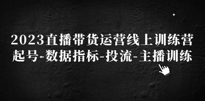 2023直播带货运营线上训练营，起号-数据指标-投流-主播训练-领航创业网