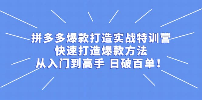 拼多多爆款打造实战特训营：快速打造爆款方法，从入门到高手 日破百单-领航创业网