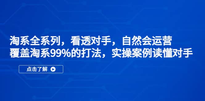 淘系全系列，看透对手，自然会运营，覆盖淘系99%·打法，实操案例读懂对手-领航创业网