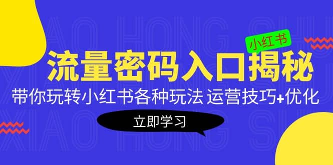 小红书流量密码入口揭秘：带你玩转小红书各种玩法 运营技巧 优化-领航创业网