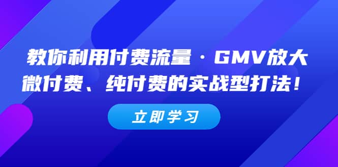 教你利用付费流量·GMV放大，微付费、纯付费的实战型打法-领航创业网