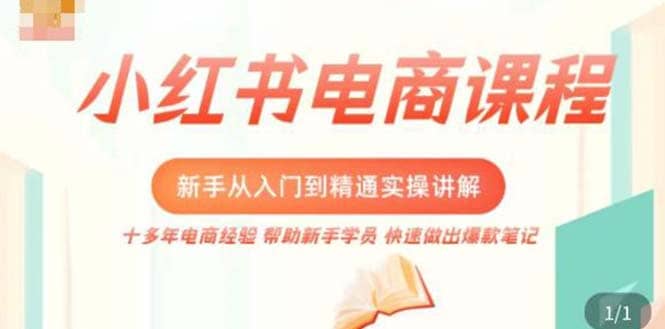 小红书电商新手入门到精通实操课，从入门到精通做爆款笔记，开店运营-领航创业网