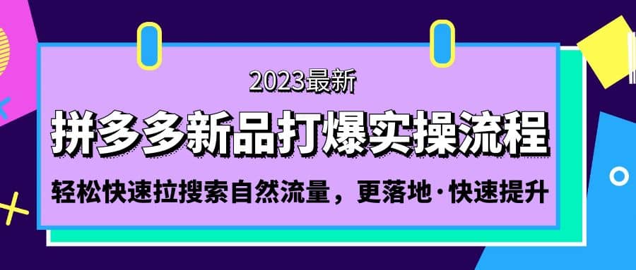 拼多多-新品打爆实操流程：轻松快速拉搜索自然流量，更落地·快速提升-领航创业网