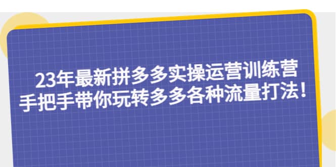 23年最新拼多多实操运营训练营：手把手带你玩转多多各种流量打法！-领航创业网