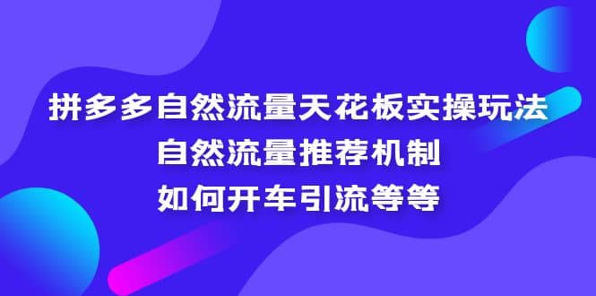 拼多多自然流量天花板实操玩法：自然流量推荐机制，如何开车引流等等-领航创业网