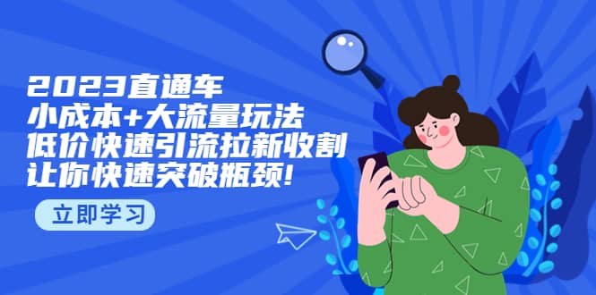 2023直通小成本 大流量玩法，低价快速引流拉新收割，让你快速突破瓶颈-领航创业网