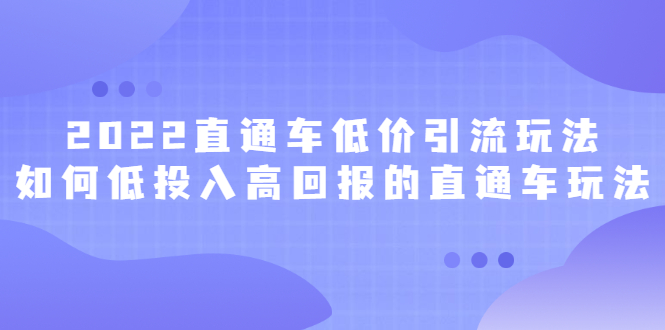 2022直通车低价引流玩法，教大家如何低投入高回报的直通车玩法-领航创业网